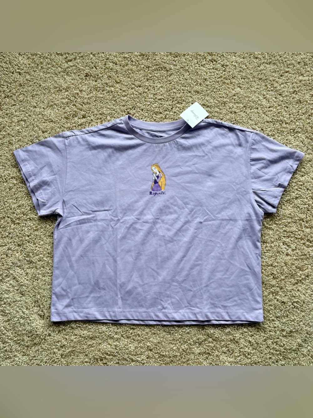 Disney Rapunzel Graphic Crop Tee XXL‎ Purple Lavender “I Light My Own Way” NWT